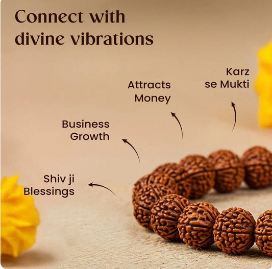 Prosperity & Protection: 7 Mukhi Rudraksha Bracelet for Men